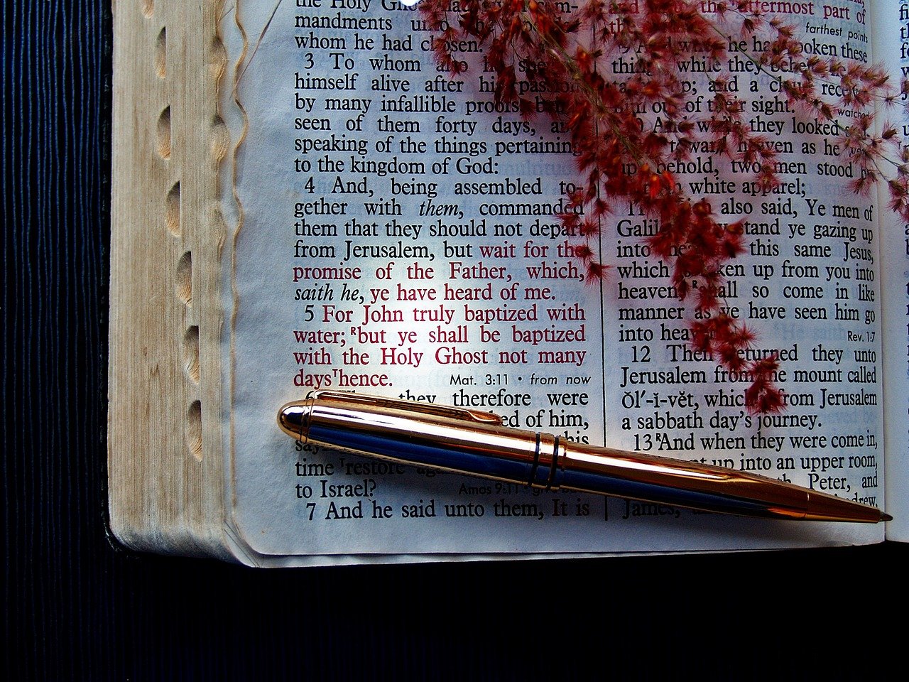 Open Bible to a verse about the Holy Spirit of God, with a pen on the Bible and branch of a red plant